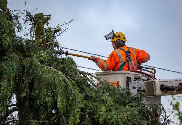 Best Firewood Processing and Delivery  in Portland, IN